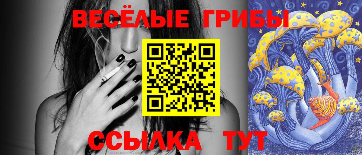Псилоцибиновые грибы MAGIC MUSHROOMS Находка